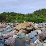 Antique River Pebbles – Unveiling the Timeless Beauty of Gupta Stone